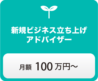 新規ビジネス立ち上げアドバイザー